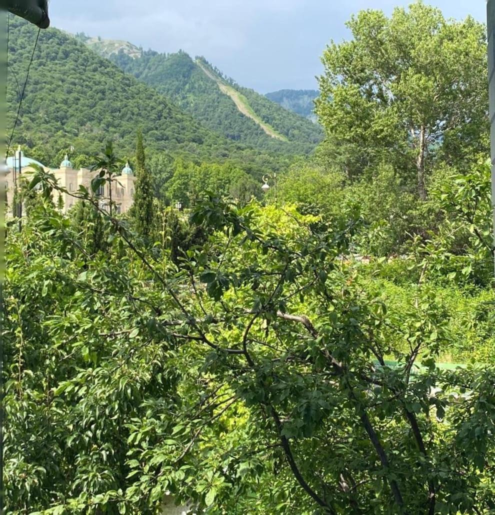 Panoramic Tufandag Family Apartment Gabala Exteriér fotografie